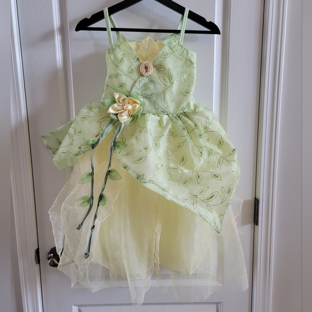 Disney Princess Tiana Dress